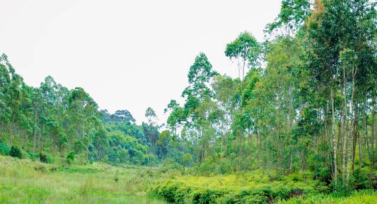 On 5th April, 2025 at Bujumbura